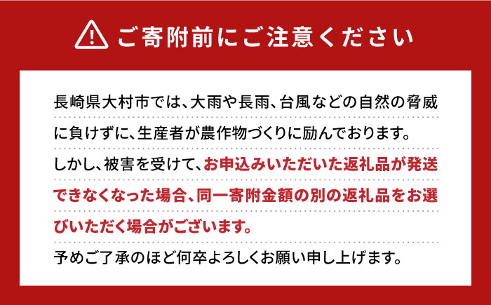 【2026年2月上旬より順次発送予定】いちご 1箱 (約250g×4P) 約1kg / いちご 苺 イチゴ フルーツ ふるーつ 果物 くだもの / 大村市 / おおむら夢ファームシュシュ[ACAA107]
