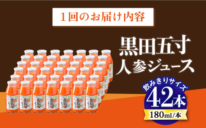 【6回定期便】 黒田五寸人参ジュース180ml 42本セット 総計252本 / ジュース じゅーす にんじん ニンジン 人参 ニンジンジュース 人参ジュース 野菜ジュース やさいジュース ドリンク 飲料水 / 大村市 / おおむら夢ファームシュシュ[ACAA113]