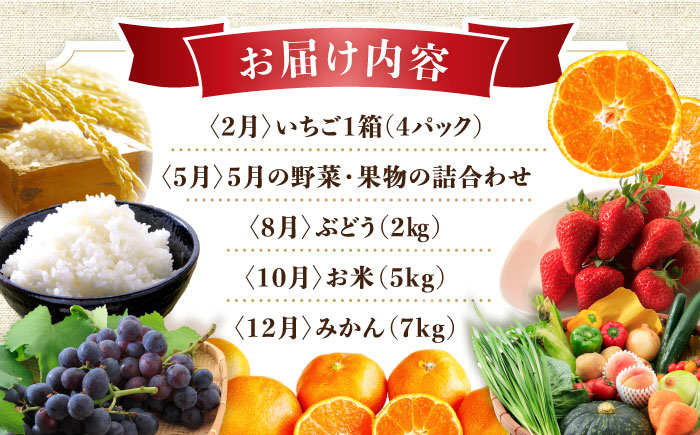 【5回定期便】旬の農産物 ぶどうコース / 野菜 やさい 果物 くだもの フルーツ ふるーつ 産地直送 ぶどう 葡萄 ブドウ フルーツ定期便 / 大村市 / おおむら夢ファームシュシュ[ACAA120]