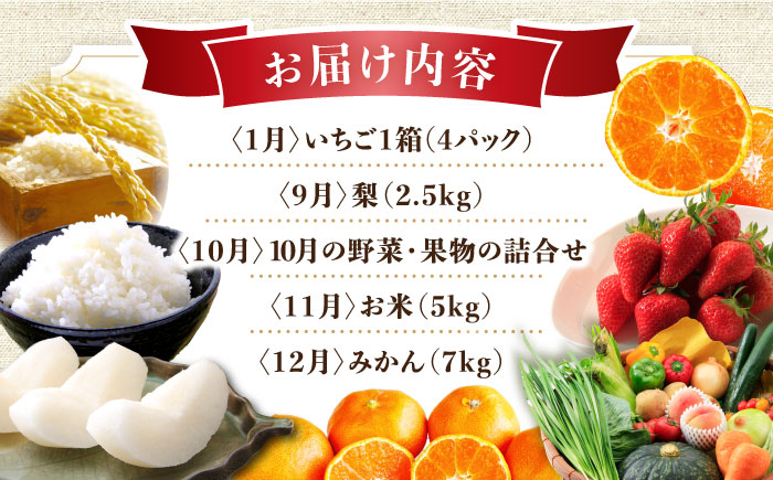 【5回定期便】旬の農産物 梨コース / 野菜 やさい 果物 くだもの フルーツ ふるーつ 産地直送 なし 梨 ナシ フルーツ定期便 / 大村市 / おおむら夢ファームシュシュ[ACAA121]