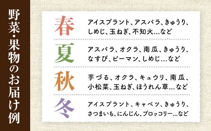 ※今後受付しない※【3回定期便】野菜・果物の詰合せと極みドレッシング85ml×5本 / 野菜 やさい 果物 くだもの フルーツ ふるーつ ドレッシング  / 大村市 / おおむら夢ファームシュシュ [ACAA218]