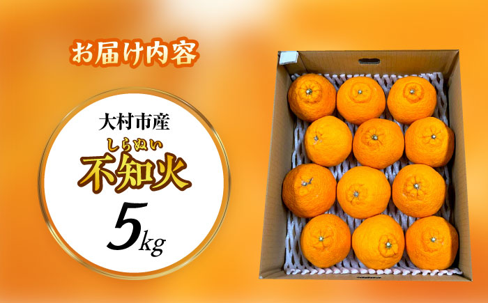 【2026年3月中旬より順次発送予定】不知火 5kg　/ しらぬい みかん 果実 柑橘 / 大村市 / おおむら夢ファームシュシュ [ACAA299]