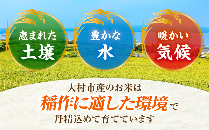 【先行予約】【6回定期便】 お米 10kg×6回 計60kg / 米 定期便 米定期便 白米 ご飯 / 大村市 / おおむら夢ファームシュシュ  [ACAA330]