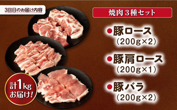 【3回定期便】ナルちゃんファーム豚肉 しゃぶしゃぶ×スライス×焼肉セット 毎月1kg / 豚肉 しゃぶしゃぶ スライス 焼肉 / 大村市 / おおむら夢ファームシュシュ [ACAA343]