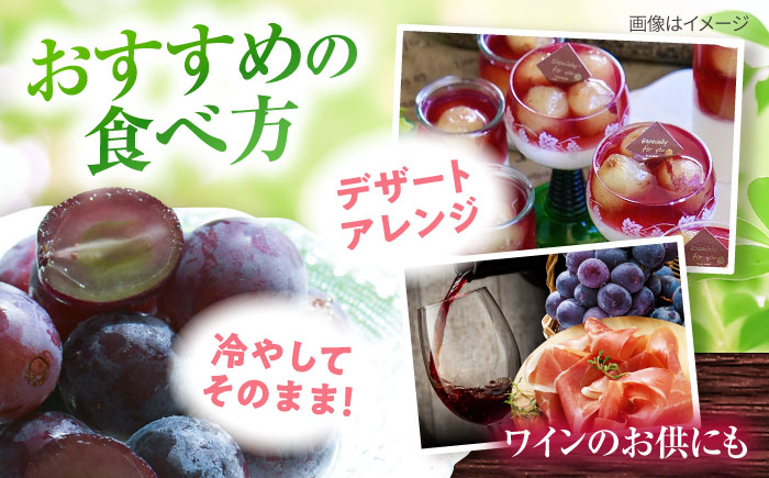 【先行予約：2026年8月中旬より順次発送予定】 巨峰 種あり 約2kg / ぶどう 葡萄 フルーツ / 大村市 / おおむら夢ファームシュシュ [ACAA380]