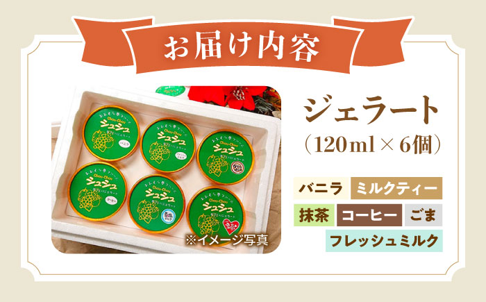 シュシュ 定番ジェラート6個セット / アイス アイスクリーム ジェラート スイーツ /  大村市 / おおむら夢ファームシュシュ [ACAA405]