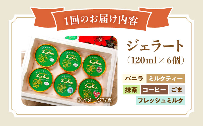 【12回定期便】シュシュ 定番ジェラート6個セット / アイス アイスクリーム ジェラート スイーツ /  大村市 / おおむら夢ファームシュシュ [ACAA408]