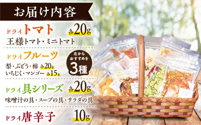 DRY BAR ドライバー Aセット 9種類 ドライフルーツ / ドライフルーツ お菓子 菓子 間食 おやつ / 大村市 / ファームいまみっちゃん[ACYL001]