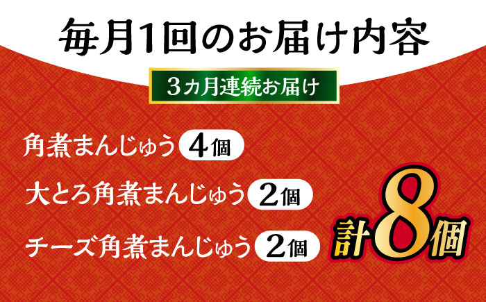 【3回定期便】角煮 まんじゅう 三種 食べくらべ セット 計24個（箱）岩崎本舗 大村市 [ACAH063]