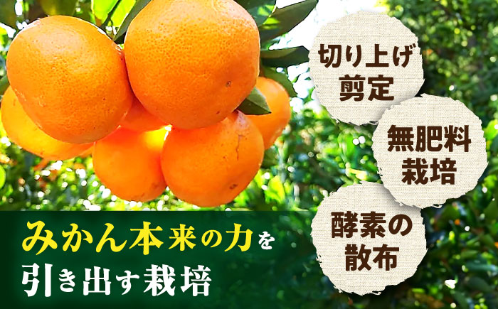 【11月中旬頃～1月中旬配送】長崎県産 温州みかん 約2.5kg 大村市 山光農園 [ACAI001]