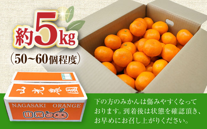 【11月中旬頃～1月中旬配送】長崎県産 温州みかん 約5kg 大村市 山光農園 [ACAI002]