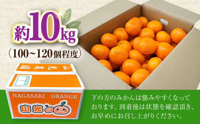 【11月中旬頃～1月中旬配送】長崎県産 温州みかん 約10kg 大村市 山光農園 [ACAI003]
