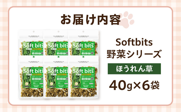 Softbits ドッグフード ほうれん草（40g×6P）/ ドッグフード 犬 いぬ ドッグ おやつ ペットフード / 大村市 / サポート [ACAM016]