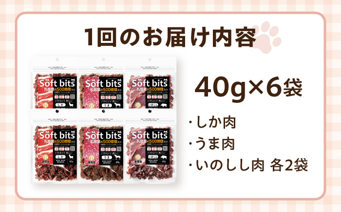 【全12回定期便】Softbits  ドッグフード 肉アソート（40g×6P） / ドッグフード 犬 いぬ ドッグ おやつ ペットフード / 大村市 / サポート [ACAM033]