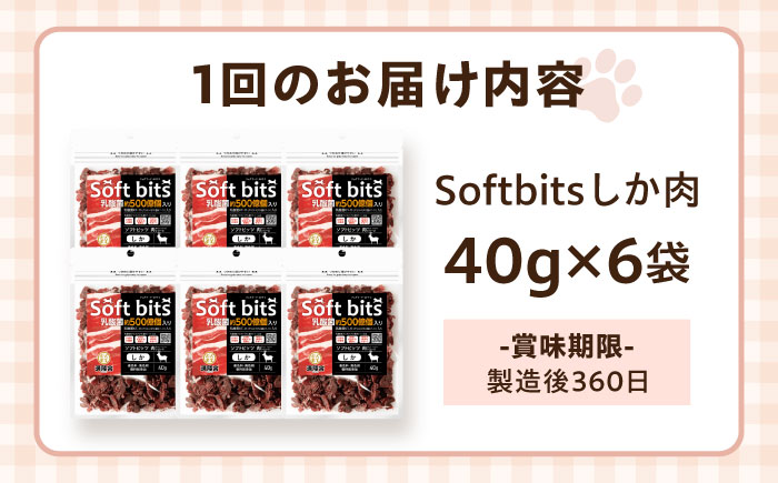 【全12回定期便】Softbits ドッグフード 鹿（40g×6P）/ ドッグフード 犬 いぬ ドッグ おやつ ペットフード / 大村市 / サポート [ACAM036]