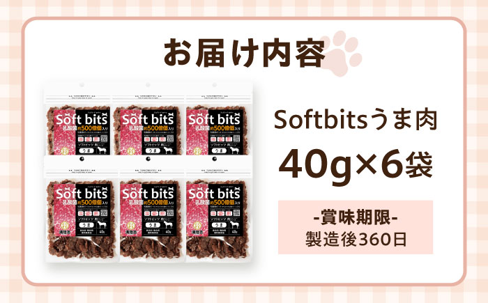 【全6回定期便】Softbits ドッグフード 馬（40g×6P）/ ドッグフード 犬 いぬ ドッグ おやつ ペットフード / 大村市 / サポート [ACAM038]