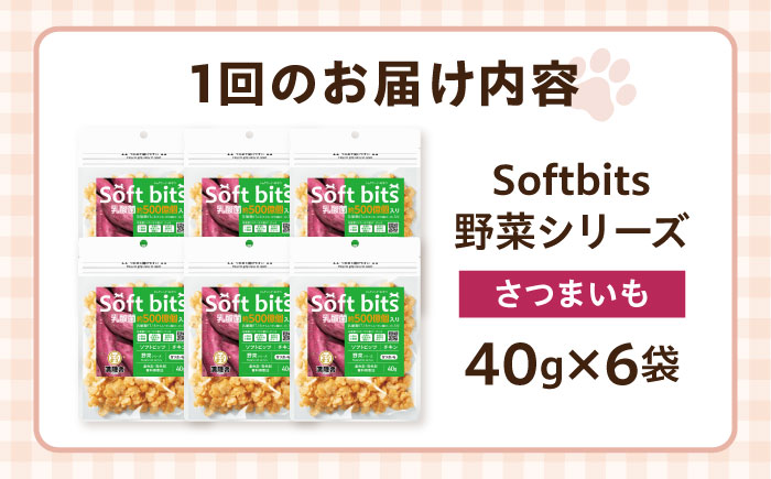 【全12回定期便】Softbits ドッグフード さつまいも（40g×6P）/ ドッグフード 犬 いぬ ドッグ おやつ ペットフード / 大村市 / サポート [ACAM042]