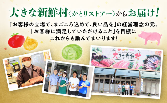 【2026年4月中旬発送開始】長崎県産 不知火 約5kg / 不知火 果物 フルーツ 柑橘 デコポン でこぽん 家庭用 柑橘 みかん 産地直送 旬 / 大村市 / かとりストアー[ACAN005]