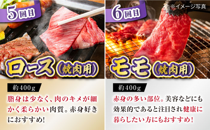 【6回定期便】長崎和牛お楽しみセット 金コース（シャトーブリアン・サーロインステーキ・長崎和牛入りハンバーグ・焼き肉用 カルビ・ロース・モモ） / 牛肉 ハンバーグ はんばーぐ おかず 惣菜 小分け やきにく もも 和牛 ステーキ/ / 大村市 かとりストアー [ACAN066]