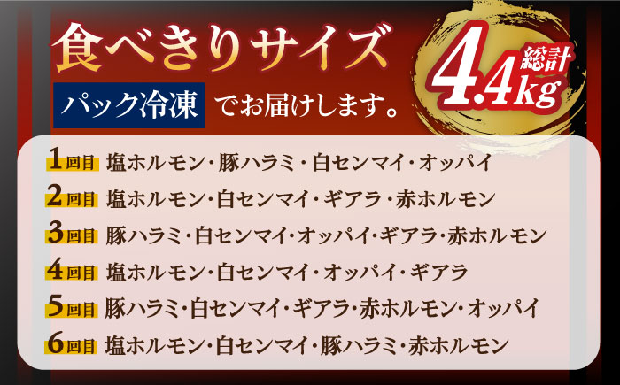 【全6回定期便】ろくめい 人気 バラエティー 定期便 計4.4kg 大村市 塩ホルモンろくめい [ACAO005]