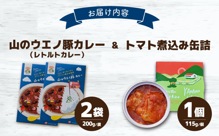 山のウエノ豚カレー・缶詰 詰め合わせ/ おつまみ レトルトカレー トマト煮/ 大村市 / 株式会社上野養豚 [ACBH006]