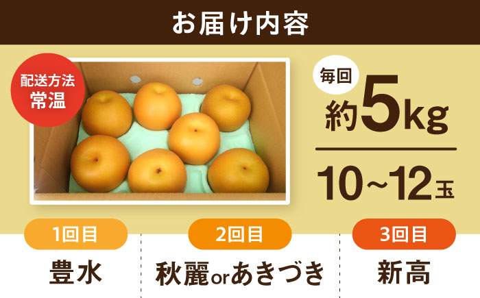 【3回定期便】 朝採り旬の梨 食べ比べ 約5kg/1回 梨定期便 フルーツ定期便 梨 ナシ なし フルーツ 果物 / 大村市 / 産直松吉 [ACZC010]