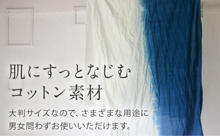 草木染め コットンショール 【藍染めグラデーション】　/ 大判 ショール ストール 草木染め 綿 綿100 ファッション 小物 レディース メンズ ギフト 贈答 プレゼント / 大村市 / ISTIST [ACZW050]