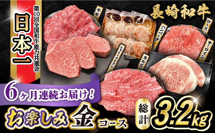 【6回定期便】長崎和牛お楽しみセット 金コース（シャトーブリアン・サーロインステーキ・長崎和牛入りハンバーグ・焼き肉用 カルビ・ロース・モモ） / 牛肉 ハンバーグ はんばーぐ おかず 惣菜 小分け やきにく もも 和牛 ステーキ/ / 大村市 かとりストアー [ACAN066]