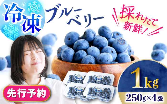 【2026年7月上旬頃より順次発送予定】冷凍ブルーベリー 1kg（250g×4袋）/ ベリー べりー ブルーベリー ぶるーべりー 冷凍 小分け 果物 くだもの フルーツ ふるーつ / 大村市 / おおむら夢ファームシュシュ[ACAA004]