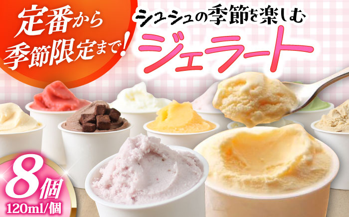 【年内発送】シュシュの季節のジェラート8個セット / アイス あいす アイスクリーム あいすくりーむ ジェラート じぇらーと スイーツ すいーつ / 大村市 / おおむら夢ファームシュシュ[ACAA010]
