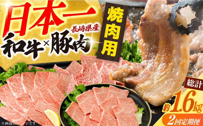【2回定期便】長崎和牛＆豚肉焼肉コース 総量1.6kg / 牛肉 モモ もも ロース ろーす 肩ロース カルビ かるび 豚肉 豚肉 豚ロース 豚バラ バラ ばら 焼肉 焼き肉 小分け 牛肉定期便 / 大村市 / おおむら夢ファームシュシュ[ACAA066]