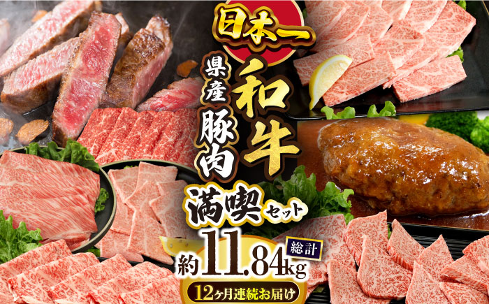 【12回定期便】長崎和牛 満喫コース（焼肉・ハンバーグ・ステーキ）総量11.84kg / 牛肉 ハンバーグ はんばーぐ モモ もも ロース ろーす 肩ロース リブロース りぶろーす すき焼き すきやき しゃぶしゃぶ 焼肉 焼き肉 サーロインステーキ さーろいんすてーき サーロイン さーろいん ステーキ すてーき 小分け 牛肉定期便 / 大村市 / おおむら夢ファームシュシュ[ACAA104]