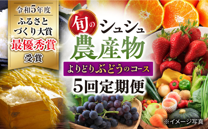 【5回定期便】旬の農産物 ぶどうコース / 野菜 やさい 果物 くだもの フルーツ ふるーつ 産地直送 ぶどう 葡萄 ブドウ フルーツ定期便 / 大村市 / おおむら夢ファームシュシュ[ACAA120]