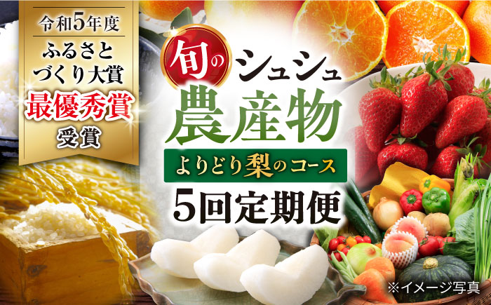 【5回定期便】旬の農産物 梨コース / 野菜 やさい 果物 くだもの フルーツ ふるーつ 産地直送 なし 梨 ナシ フルーツ定期便 / 大村市 / おおむら夢ファームシュシュ[ACAA121]