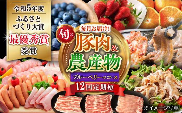 【12回定期便】豚肉＆農産物 ブルーベリーコース（ 豚肉 いちご ハムセット 野菜 果物 ブルーベリー みかん お米 ）/ ロース モモ バラ イチゴ 苺 やさい くだもの フルーツ ふるーつ ロースハム ウインナー ソーセージ フランク ぶるーべりー 蜜柑 ミカン コメ こめ 米 定期便 / 大村市 / おおむら夢ファームシュシュ[ACAA124]