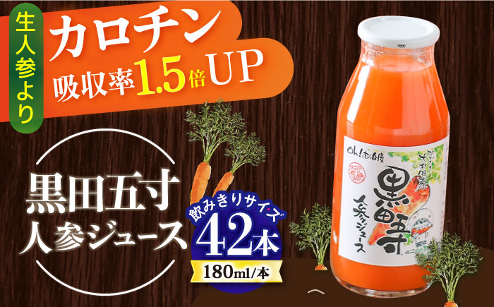 【年内発送】毎日!黒田五寸人参ジュース180ml 42本セット / ジュース じゅーす にんじん ニンジン 人参 ニンジンジュース 人参ジュース 野菜ジュース やさいジュース ドリンク 飲料水 / 大村市 / おおむら夢ファームシュシュ[ACAA132]