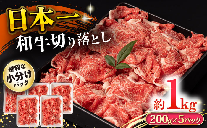 長崎和牛 切り落とし肉 1kg / 牛肉 切り落とし 切落し きりおとし すき焼き すきやき しゃぶしゃぶ 小分け / 大村市 / おおむら夢ファームシュシュ[ACAA142]
