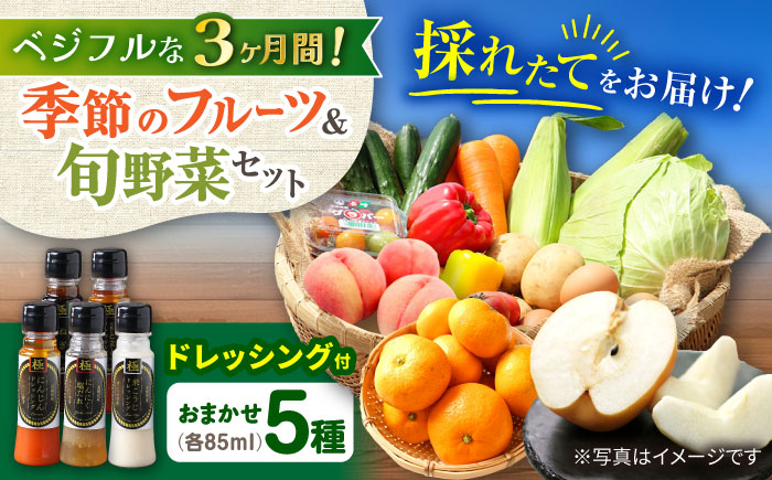 ※今後受付しない※【3回定期便】野菜・果物の詰合せと極みドレッシング85ml×5本 / 野菜 やさい 果物 くだもの フルーツ ふるーつ ドレッシング  / 大村市 / おおむら夢ファームシュシュ [ACAA218]