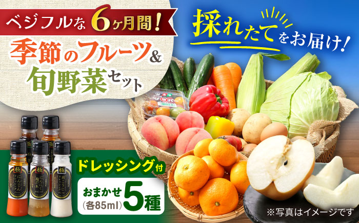 ※今後受付しない※【6回定期便】野菜・果物の詰合せと極みドレッシング85ml×5本 / 野菜 やさい 果物 くだもの フルーツ ふるーつ ドレッシング  / 大村市 / おおむら夢ファームシュシュ [ACAA219]