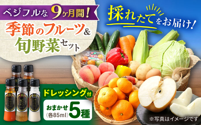 ※今後受付しない※【9回定期便】野菜・果物の詰合せと極みドレッシング85ml×5本 / 野菜 やさい 果物 くだもの フルーツ ふるーつ ドレッシング  / 大村市 / おおむら夢ファームシュシュ [ACAA220]