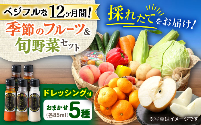 ※今後受付しない※【12回定期便】野菜・果物の詰合せと極みドレッシング85ml×5本 / 野菜 やさい 果物 くだもの フルーツ ふるーつ ドレッシング  / 大村市 / おおむら夢ファームシュシュ [ACAA221]