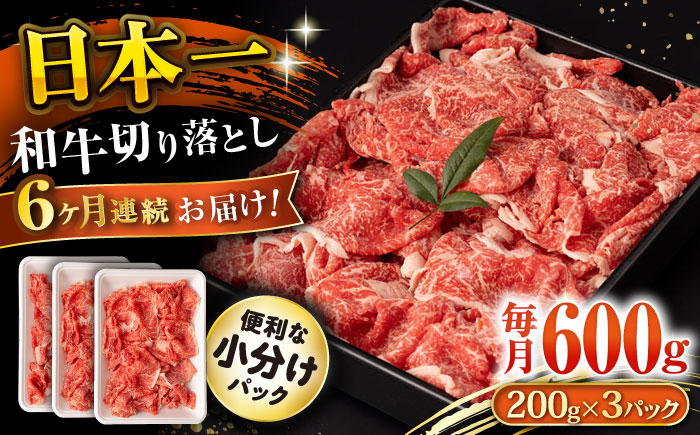 【6回定期便】長崎和牛 切り落とし 600g/月（総計3.6kg） / 牛肉 切り落とし 切りおとし きりおとし すき焼き 小分け / 大村市 / おおむら夢ファームシュシュ [ACAA223]