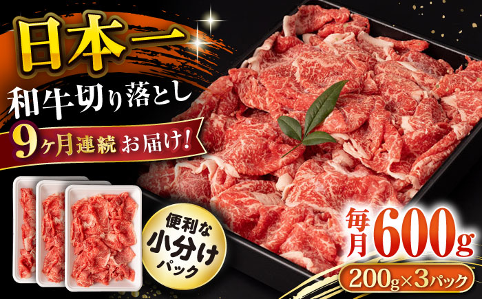 【9回定期便】長崎和牛 切り落とし 600g/月（総計5.4kg） / 牛肉 切り落とし 切りおとし きりおとし すき焼き 小分け / 大村市 / おおむら夢ファームシュシュ [ACAA224]