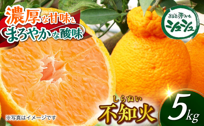 【2026年3月中旬より順次発送予定】不知火 5kg　/ しらぬい みかん 果実 柑橘 / 大村市 / おおむら夢ファームシュシュ [ACAA299]