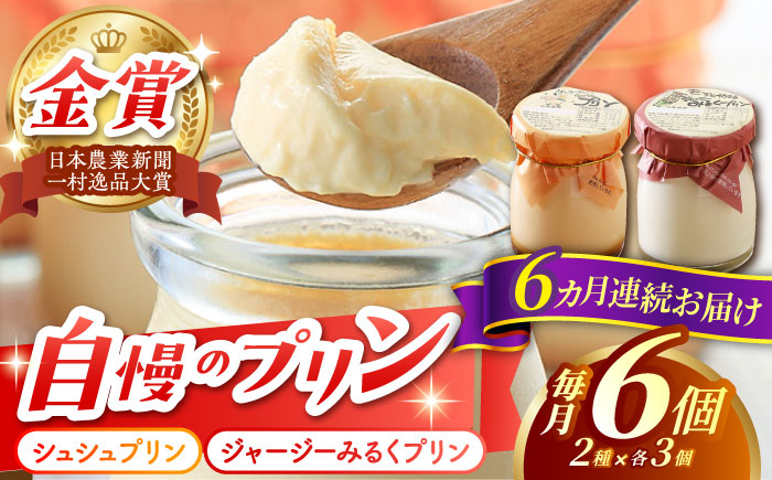 【6回定期便】シュシュプリンとジャージーみるくプリンセット 6個/月（計36個）/ プリン スイーツ ミルク ジャージ?牛乳 /  大村市 / おおむら夢ファームシュシュ [ACAA313]