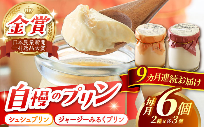 【9回定期便】シュシュプリンとジャージーみるくプリンセット 6個/月（計54個）/ プリン スイーツ ミルク ジャージ?牛乳 /  大村市 / おおむら夢ファームシュシュ [ACAA314]