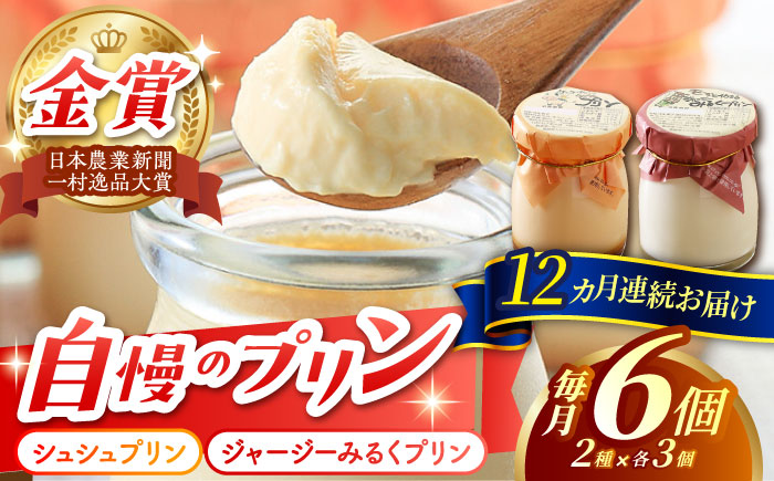 【12回定期便】シュシュプリンとジャージーみるくプリンセット 6個/月（計72個）/ プリン スイーツ ミルク ジャージ?牛乳 /  大村市 / おおむら夢ファームシュシュ [ACAA315]