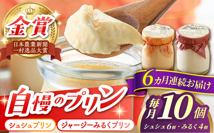 【6回定期便】シュシュプリンとジャージーみるくプリンセット 10個/月（計60個）/ プリン スイーツ ミルク ジャージ?牛乳 /  大村市 / おおむら夢ファームシュシュ [ACAA321]