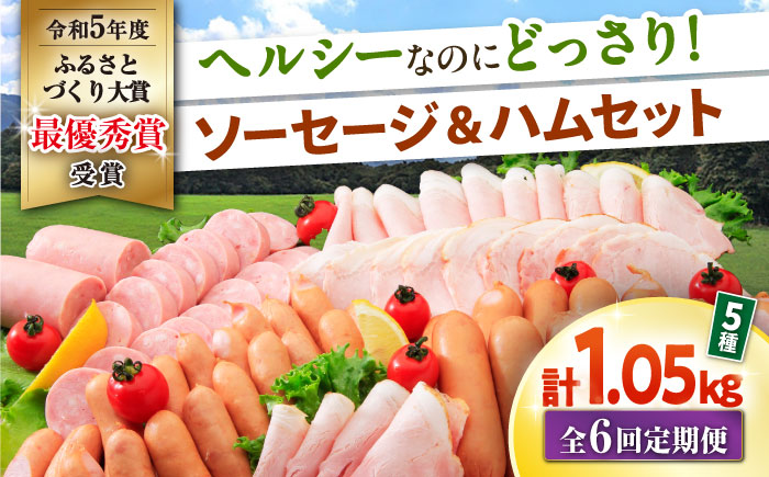 【6回定期便】ナルちゃんファーム ハムセット1.05kg sp / ウインナー ハム 食べ比べ 詰め合わせ / 大村市 / おおむら夢ファームシュシュ [ACAA348]