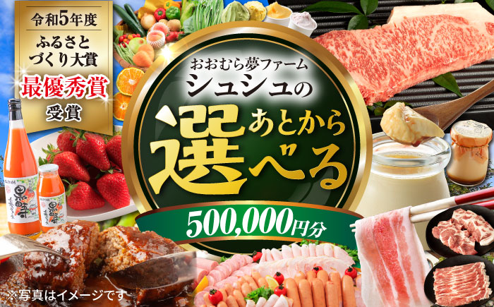 【あとから選べる】 おおむら夢ファームシュシュ ふるさとギフト50万円分 [ACAA393]